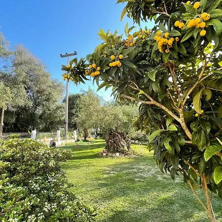 Nine Muses 4* Kávos