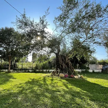 شقة فندقية Nine Muses