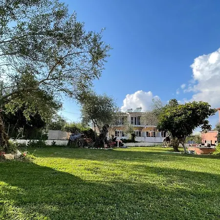 Nine Muses 4* Kávos